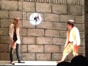 Peyton Performance WW