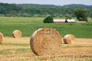 hay bale