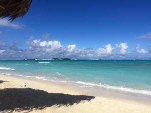 Melia Resort Beach View