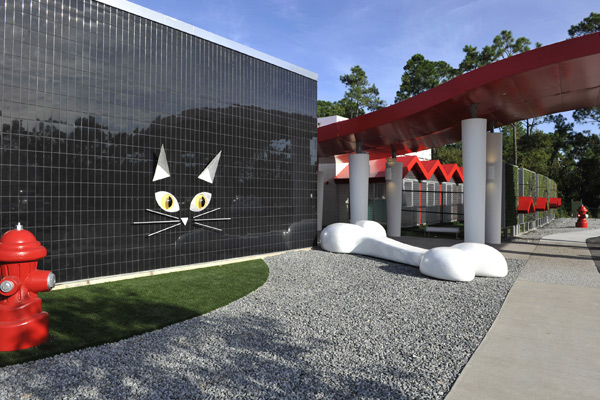 Best Friends Pet Care